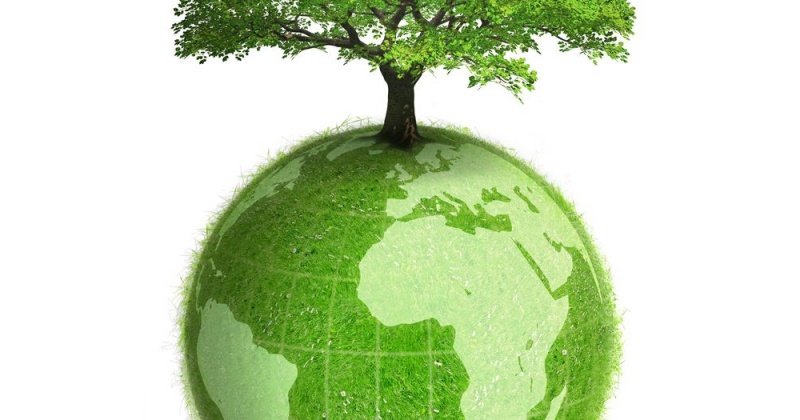 Итоги экологической акции по сбору макулатуры
