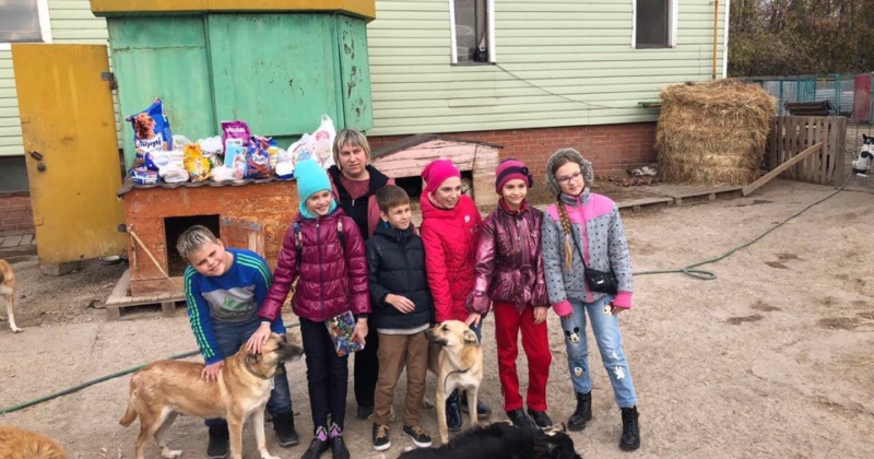 20 октября ученики 4Г класса поехали в приют для животных.